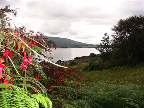 ベッドアンドブレックファースト Nonaim Lodge