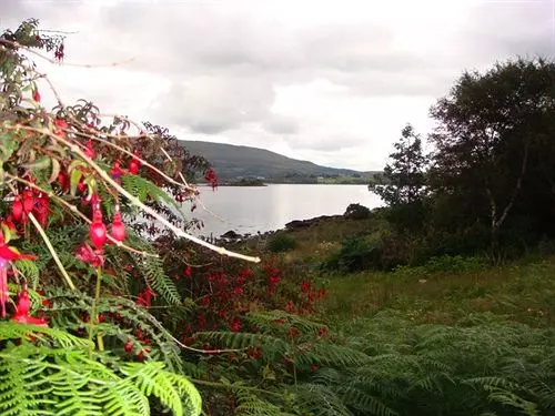 Bed and Breakfast Nonaim Lodge