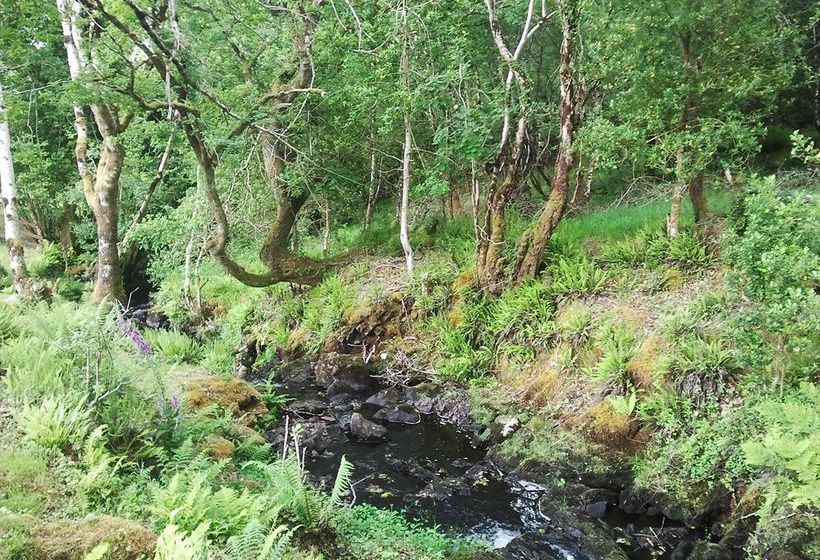 ベッドアンドブレックファースト Nonaim Lodge