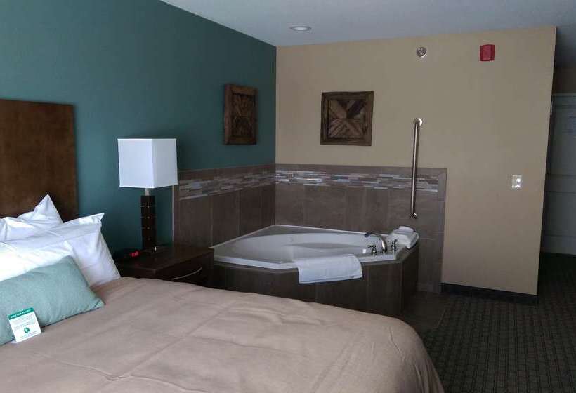 ホテル Grandstay Delano