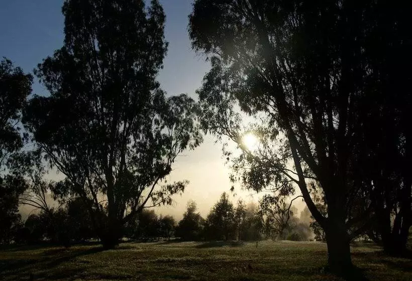 בית מלון כפרי Ingenia Holidays Murray Bend