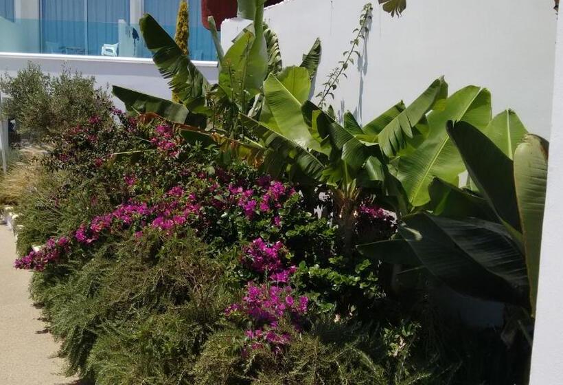 בית מלון כפרי Vrissaki Beach