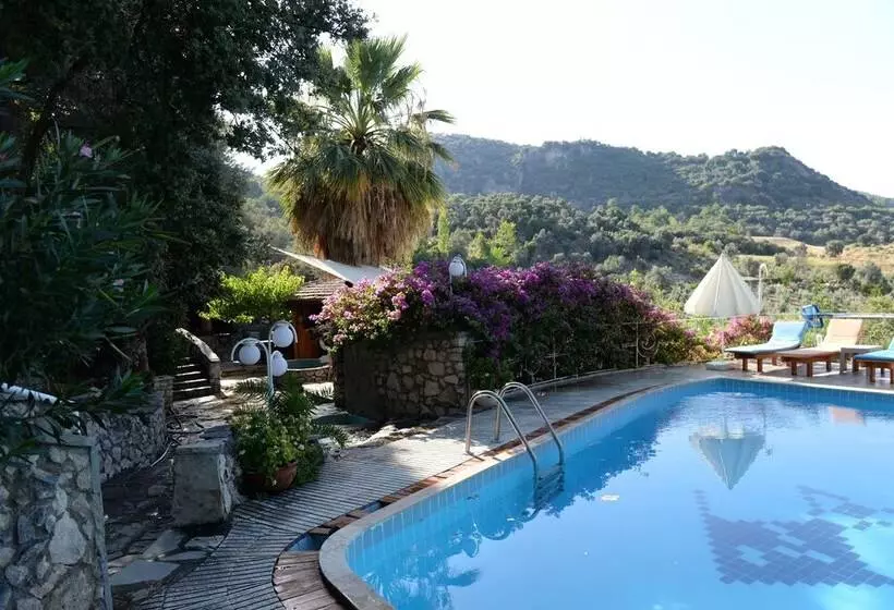 Aamiaismajoitus (B&B) Tlos Butik Otel