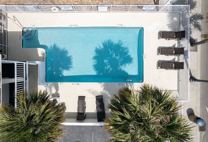 فندق Lily & Bloom