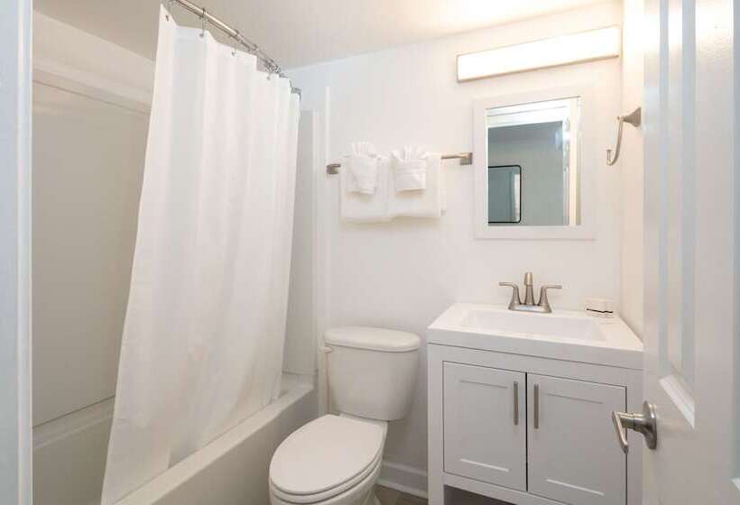 فندق Lily & Bloom