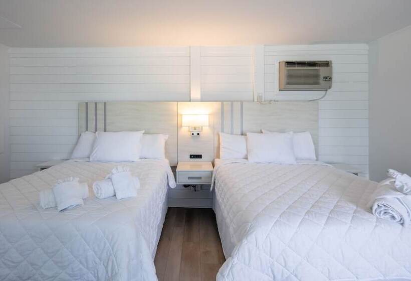 فندق Lily & Bloom