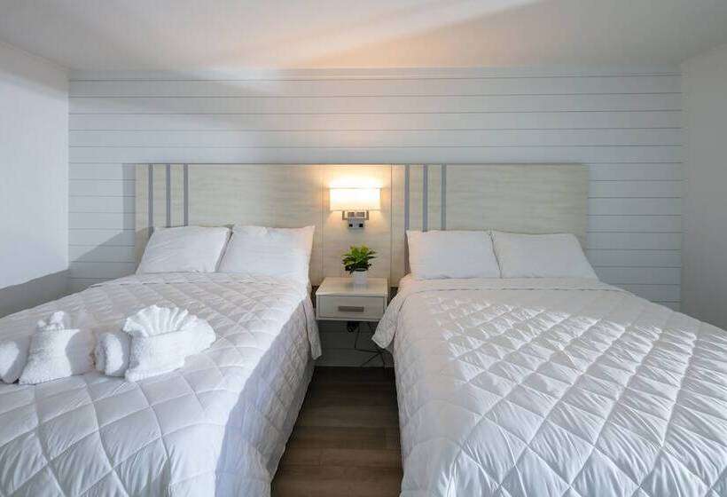 فندق Lily & Bloom