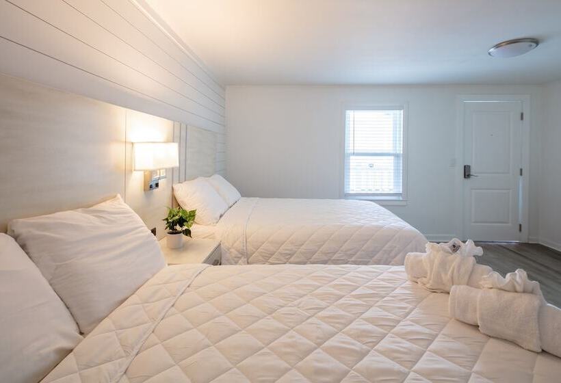 فندق Lily & Bloom