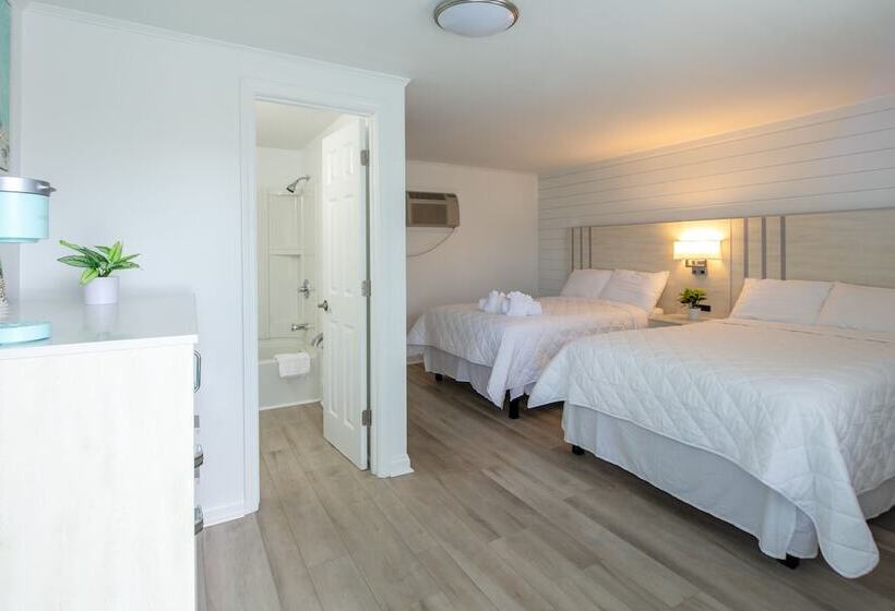 فندق Lily & Bloom