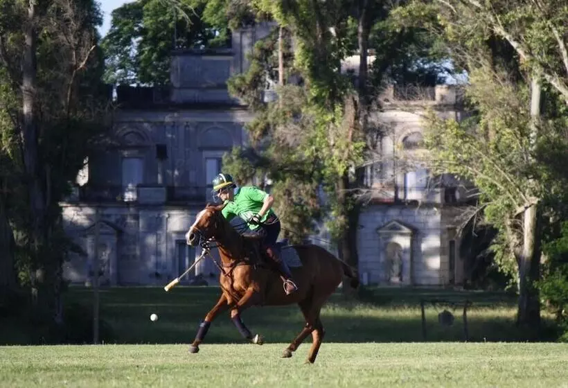 هتل Palacio Santa Candida