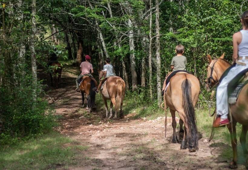 酒店 Palacio Santa Candida