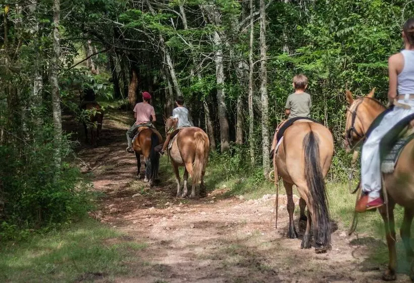 هتل Palacio Santa Candida