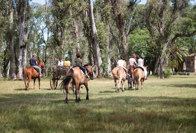 هتل Palacio Santa Candida
