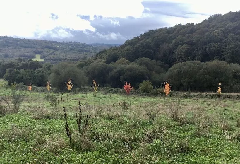 ホテル Pazo De Bieite