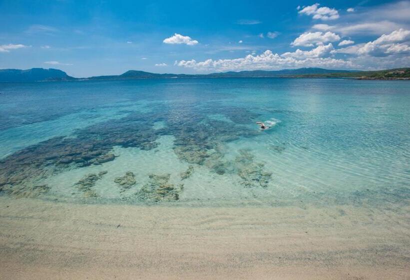 هتل The Pelican Beach Resort & Spa  Adults Only