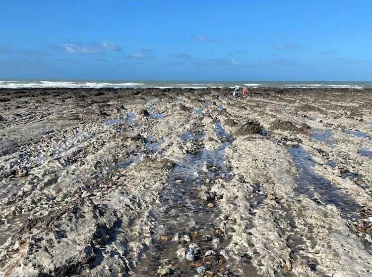 Parc Beausejour Dieppe