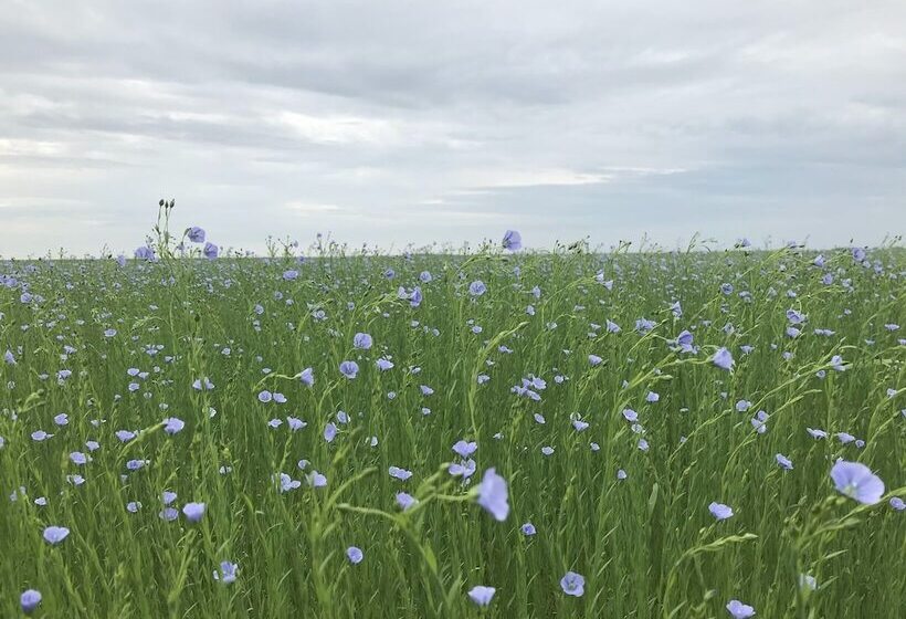 Parc Beausejour Dieppe