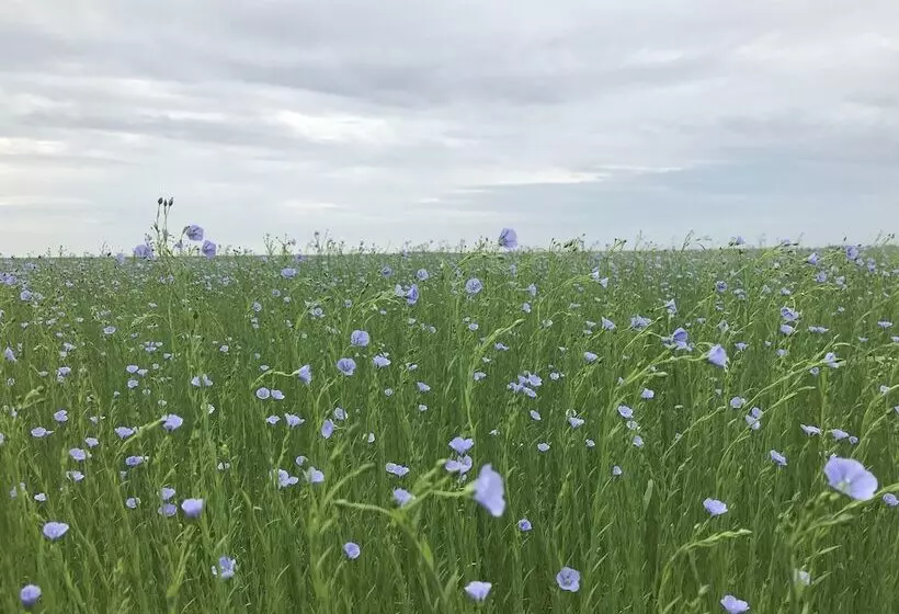 Parc Beausejour Dieppe