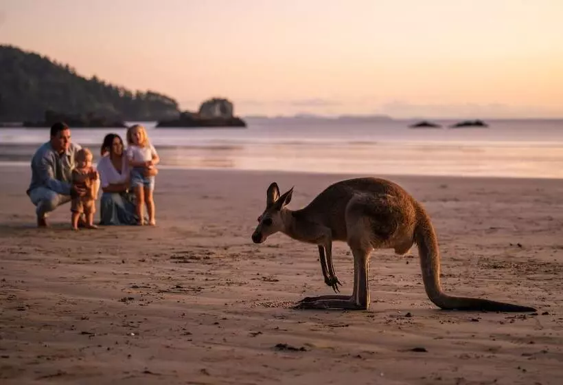 Lomakeskus Cape Hillsborough Nature Tourist Park