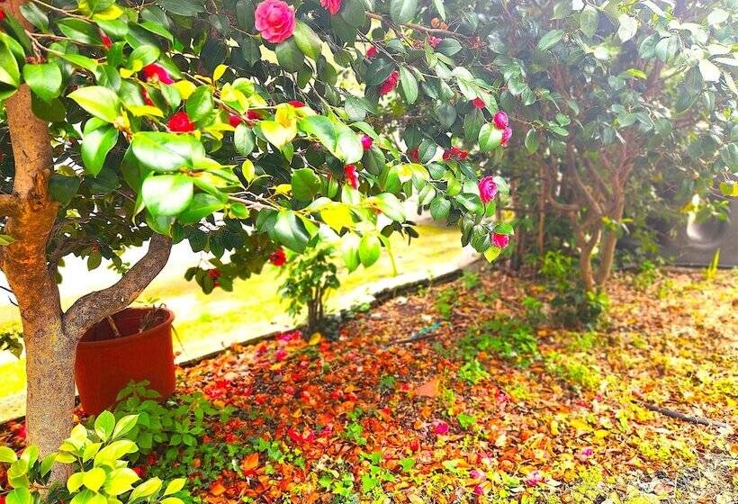 Yalla Chorefto   Hotel & Fun