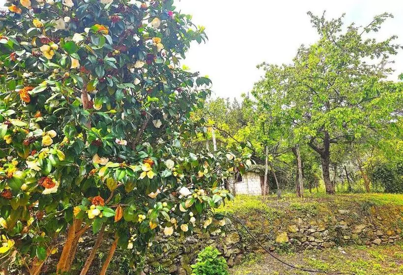 Yalla Chorefto   Hotel & Fun