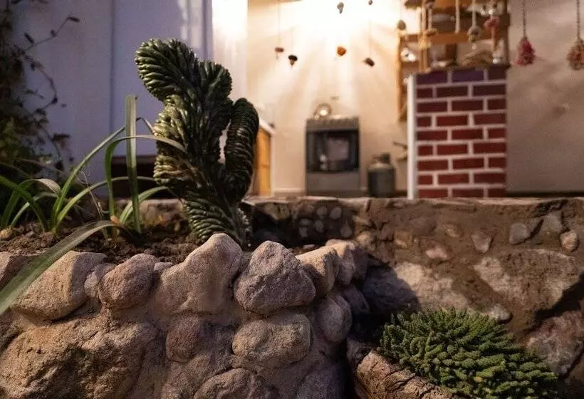 هتل Mama Green Eco Lodge & Permaculture Farm