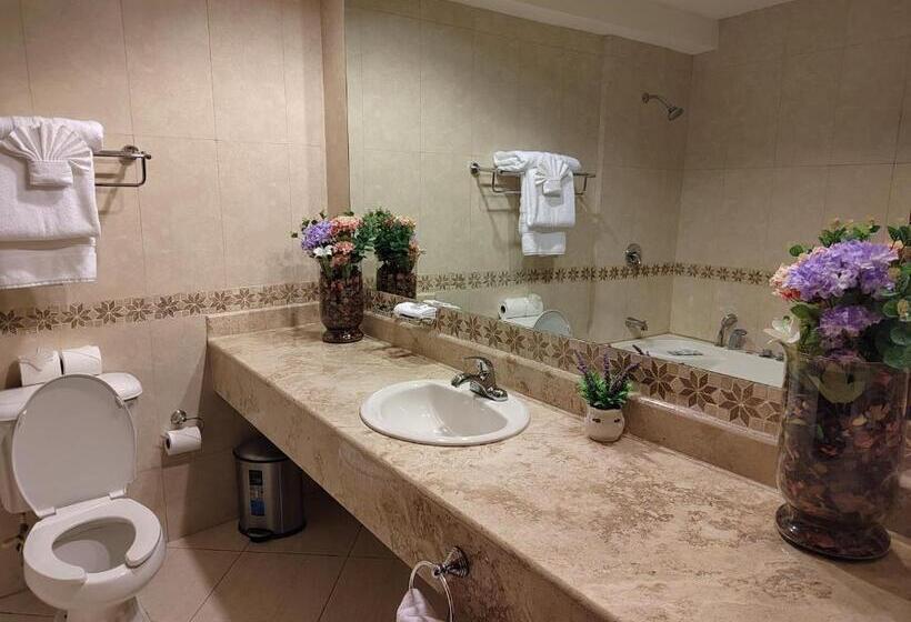 Princess Hotel And Casino Free Zone