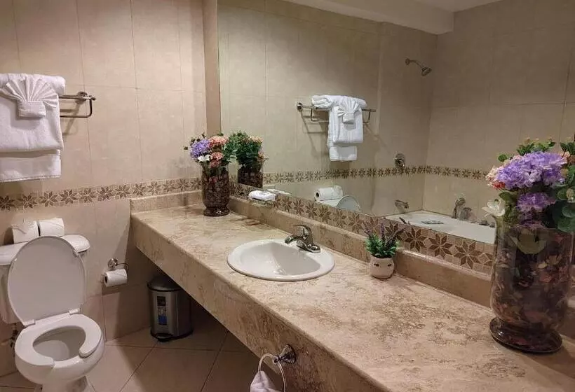 Princess Hotel And Casino Free Zone