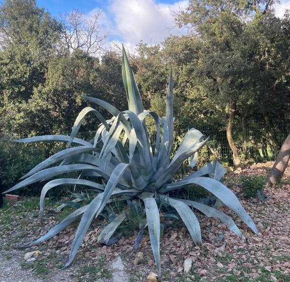 צימר Les Terrasses Des Gardies