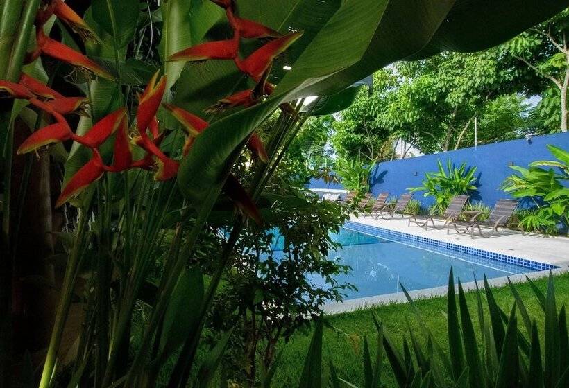 هتل Aqui Bate A Brisa Pousada