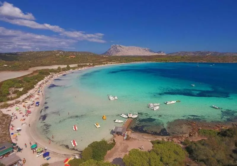 Hotelli Futura Club Baja Bianca