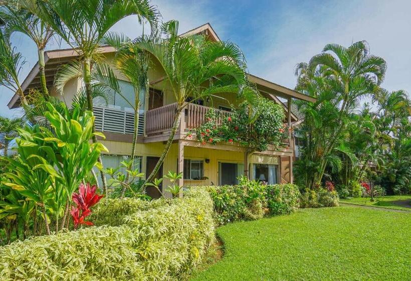 호텔 Sandpiper #116a