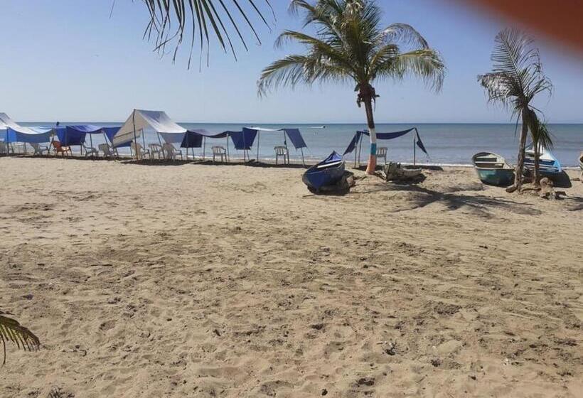 پانسیون Playa Mag