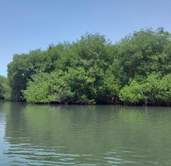 پانسیون Playa Mag