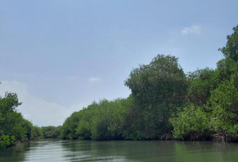 پانسیون Playa Mag