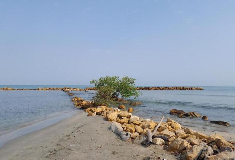 پانسیون Playa Mag