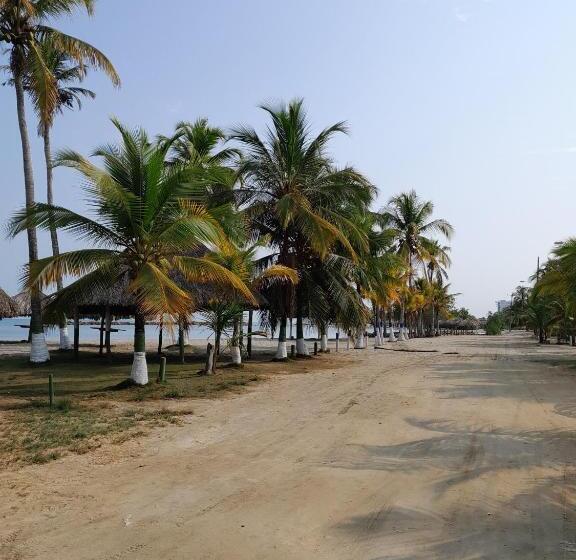 پانسیون Playa Mag