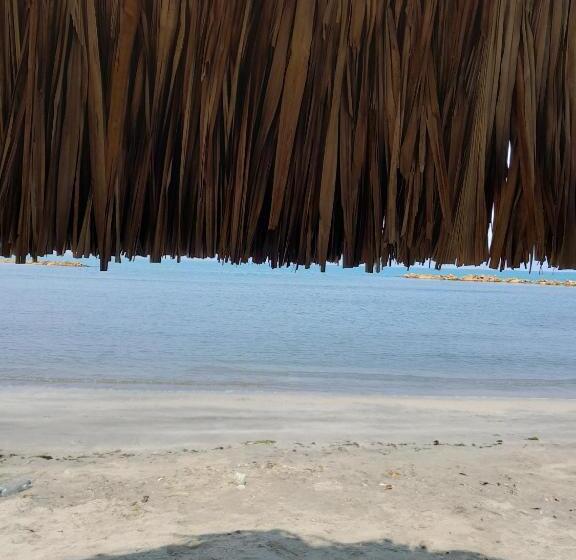 پانسیون Playa Mag