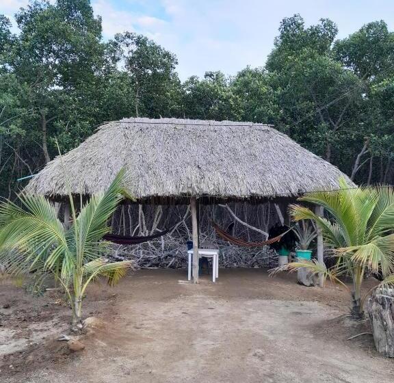 پانسیون Playa Mag