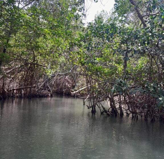 پانسیون Playa Mag