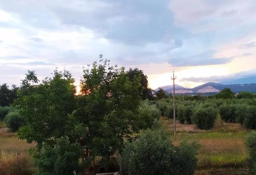 B&b Villa Sabrina