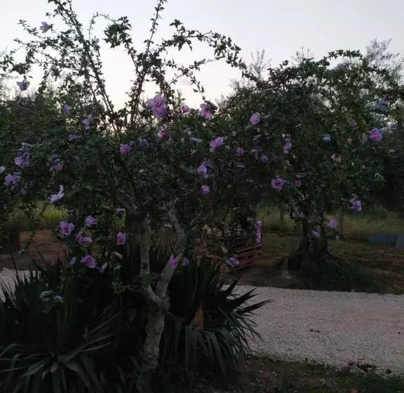 B&b Villa Sabrina
