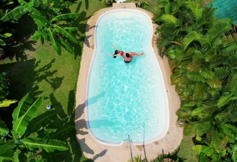 تختخواب و صبحانه Samui Blue Bird