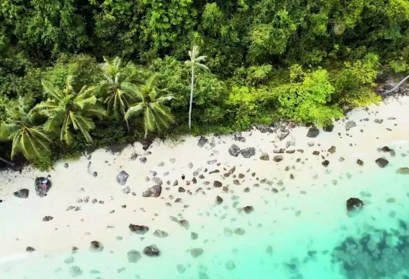 تختخواب و صبحانه Samui Blue Bird