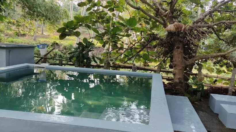 Bed and Breakfast Sandra Eco