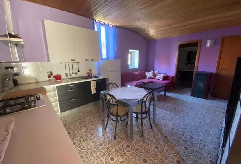 ベッドアンドブレックファースト Phenicusa