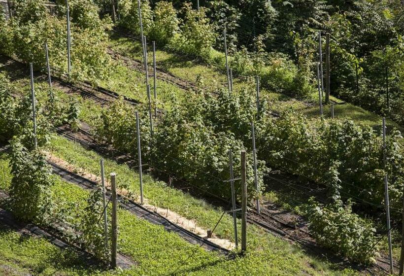 Отель Agriturismo Rossolampone