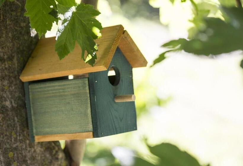 Отель Agriturismo Rossolampone