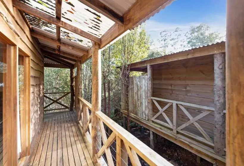 Hotelli Cradle Forest Inn