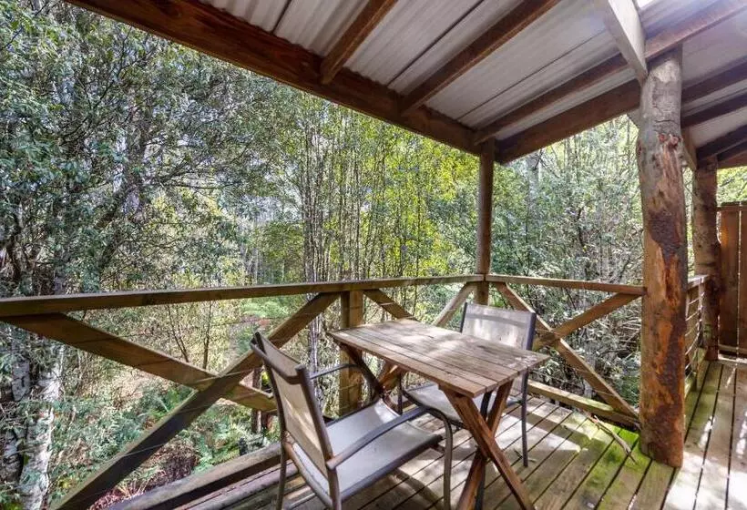 Hotelli Cradle Forest Inn